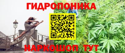 прущие крисы Бузулук