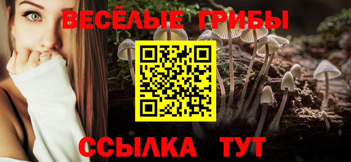 Псилоцибиновые грибы MAGIC MUSHROOMS Моздок