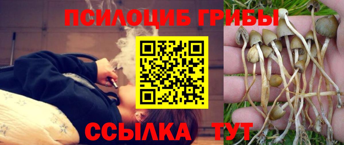 цена   Галлюциногенные грибы GOLDEN TEACHER  Вход с VPN  Моздок 
